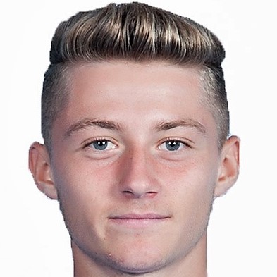 MANOLE MIRCEA