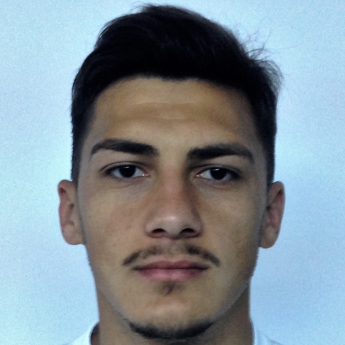 PLAMADA FLORIN