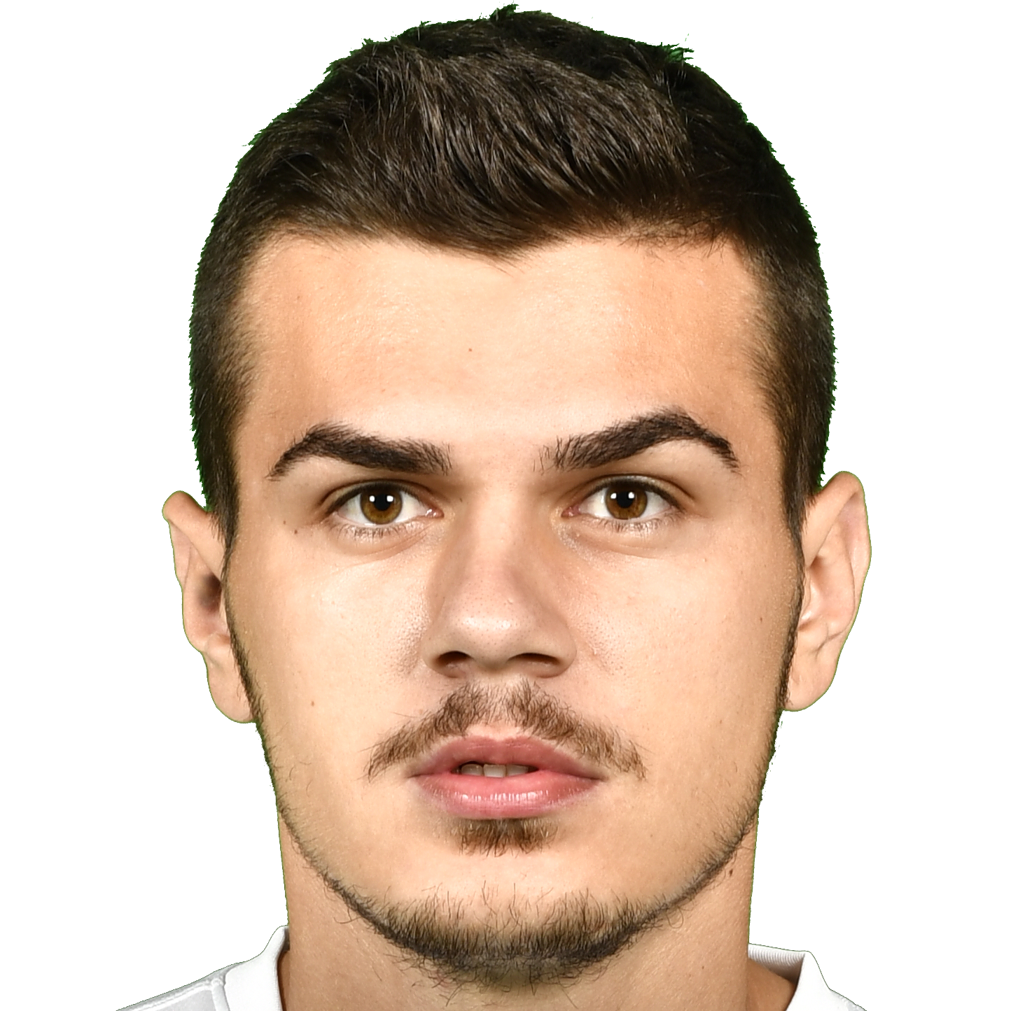 STEFANESCU CATALIN ANDREI